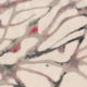soie-kimono-galerie-h-japon